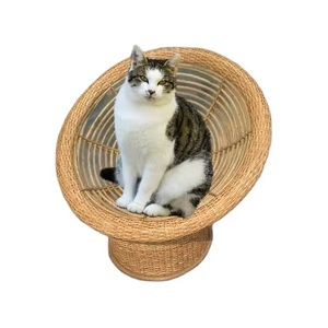Lit pour chat en bambou rond, minimaliste, respirant, pour l'intérieur, chaise de repos pour animaux de compagnie, design élégant, lit pour animaux de compagnie en bambou et rotin, lit pour chien - Product Image 5
