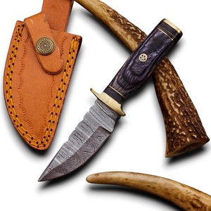 Hot Selling 2026 New Design Damascus Steel Fixed Blade Drop Point 15 cm Black Pakka Wood Handle Brass Guard Durable Razor Knife - Product Image 1
