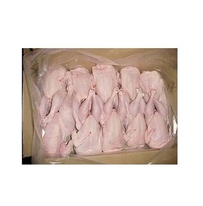 Pollo Entero Congelado HALAL de Primera Calidad y Cortes de Pollo, Pechuga Fresca de Grado Premium para Exportación - Product Image 5
