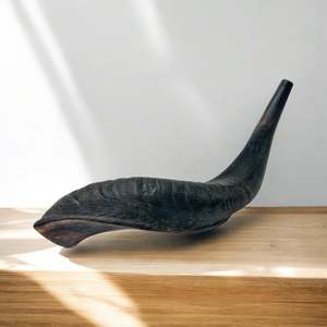 Cuerno de Carnero Kosher, Semipulido, Shofar |   Auténtico Cuerno de Shofar de Israel |   Corneta Judía, Chofar Original de Israel. - Product Image 6