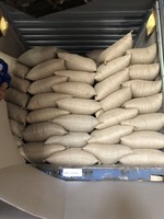 Café Vert d'Origine Vietnamienne Nouvelle Récolte Grade AA Arabica Poli Saveur Exceptionnelle Certifié ISO Export Direct d'Usine Prix en Gros