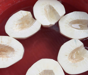 Dés de fruit à pain surgelés en vrac, chair verte et blanche pure, pour la production industrielle alimentaire, en provenance du Vietnam - Product Image 2