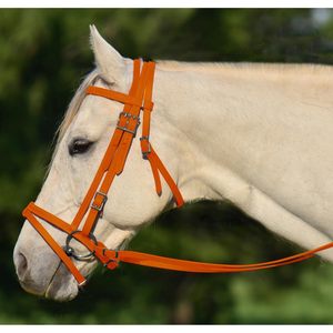 Bridon de cheval en PVC de style occidental, vente en gros, imperméable, personnalisé, OEM, coloré, durable, pour l'équitation - Product Image 1