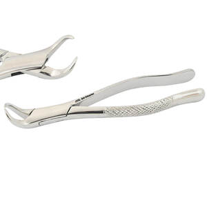 Chifre extra da vaca do aperto Fórceps extração dental Molares inferiores Instrumentos pediatras pedodônticos aço instrumento médico melhorado - Product Image 5