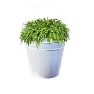 Pot de fleurs en métal rétro pour plantes succulentes, pot de fleurs rustique avec poignée en corde, jardinière ovale galvanisée en zinc pour l'intérieur et l'extérieur - Product Image 5