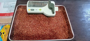 Arroz Rojo de Grano Largo Orgánico Premium de Vietnam, 100% Natural, Integral, Fresco, Sin OMG, Sin Gluten, Nueva Cosecha, Alimento Saludable, Venta al Por Mayor - Product Image 4