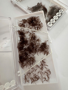 Dark Brown <b>Individual</b> Eyelash Extensions Wholesale Natural Soft Silk 0.05mm 0.07mm Private Label Custom New Arrival Design - Product Image 5