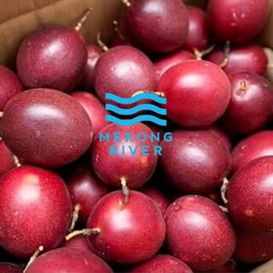 Fruit de la passion Frozen Sunshine Pulpe de fruit de la passion tropicale pure du Vietnam - Product Image 6