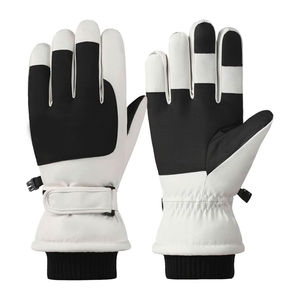 Guantes de Esquí Premium Impermeables, Térmicos, Duraderos, con Ajuste Cómodo, Alta Adherencia y Palma Reforzada - Product Image 1