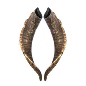 Kosher Shofar-claxon de Ram Natural, instrumento Musical pulido Natural usado para propósitos religiosos, por craftssy Home, venta al por mayor - Product Image 1