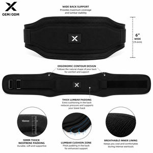 Ceinture de Soutien Lombaire Ajustable en Néoprène pour Musculation, Ceinture de Fitness Personnalisable OEM ODM avec Logo - Product Image 2