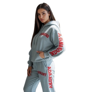 Automne hiver femme sweats à manches longues Logo personnalisé femmes sweat surdimensionné à capuche coton polaire pull femmes - Product Image 6