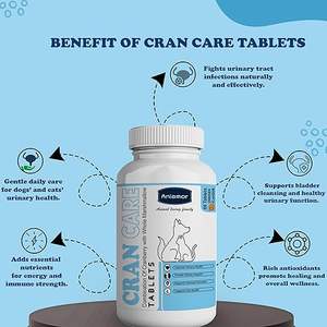 Complément alimentaire personnalisé à la canneberge pour chats et chiens, friandises pour chiens, comprimés de canneberge pour les voies urinaires, calculs vésicaux, incontinence canine - Product Image 4