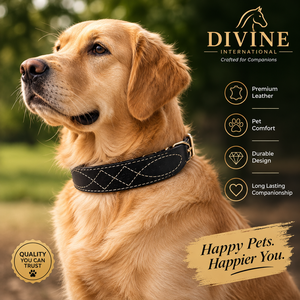 ปลอกคอสุนัขหนังแท้ทำมือพร้อมลายเย็บประณีต ผู้ผลิตฉลากส่วนตัวจาก Divine International - Product Image 6