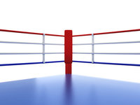 Housses de cordes de ring de boxe imprimées de haute qualité personnalisées |   Cordon de rembourrage en PVC/PU durable pour la boxe et le MMA