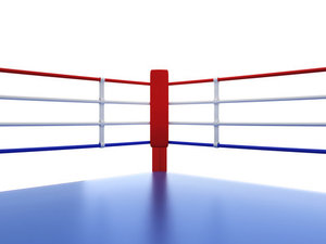 Housses de cordes de ring de boxe imprimées de haute qualité personnalisées |   Cordon de rembourrage en PVC/PU durable pour la boxe et le MMA - Product Image 6