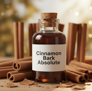 Proveedor de Aceite Absoluto de Canela a Granel, Extracto de Canela Puro y Natural para Cosméticos, Aromaterapia y Perfumería - Product Image 3