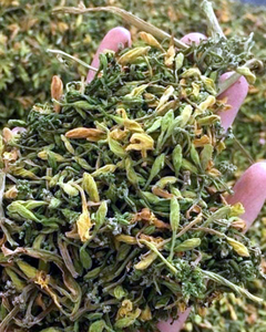 FLOR DE PAPAYA SECADA PREMIUM – HERBA NATURAL PARA TÉ, DESINTOXICACIÓN Y BEMESENTEZ - Product Image 2