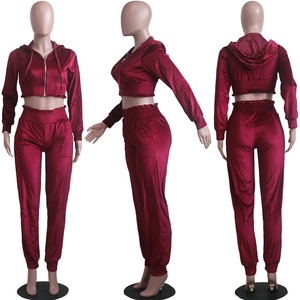 Women Black Velvet Tracksuit Set Hooded <b>Zipper</b> Crop <b>Top</b> Jogger Pants Full Sleeve Casual Autumn Wear Solid Color Breathable - Product Image 5