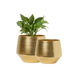 Maceta Biodegradable de Corcho para Suculentas, Decoración para el Hogar y la Oficina - Product Image 5