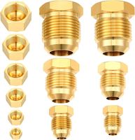 Conector de Plomería de Latón Forjado, Reductor de Calibre, Roscado Métrico Hembra/Macho, Resistente a la Corrosión, para Tuberías de Baja Presión