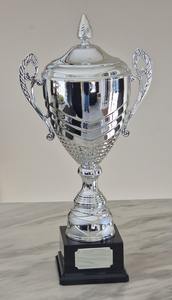 Trofeo Metálico de Lujo Más Vendido para Eventos de Reconocimiento y Motivación de Empleados Disponible a Precio de Fábrica - Product Image 3