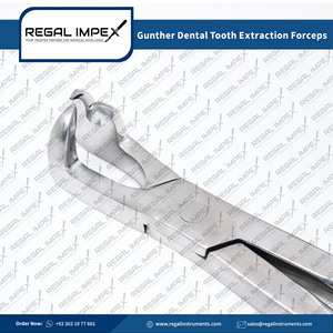 Pinzas de Extracción Dental Veterinarias Manuales Regal Impex de Acero Inoxidable Clase I para Odontología Equina con 1 Año de Garantía - Product Image 2