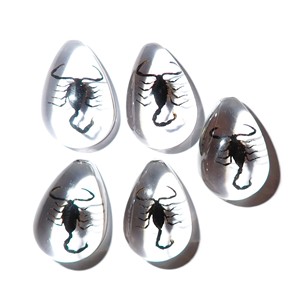Cabochon Black Scorpion Pear Shape cut <b>top</b> 25x17 mm Clear Flat Bottom for Crafts and Jewelry Making - Product Image 5