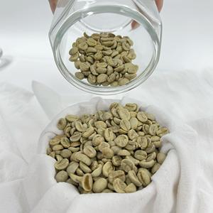 เมล็ดกาแฟอาราบิก้าสีเขียวจากลัมดง เวียดนาม ปลูกในพื้นที่ที่มีความหนาแน่นสูง ผลผลิตสดใหม่ จัดจำหน่ายจำนวนมาก บริการติดฉลากสินค้าภายใต้แบรนด์ของลูกค้า - Product Image 5