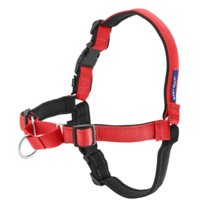 Arnés Personalizado para Perros, Chaleco Ajustable para Perros Grandes - Product Image 6