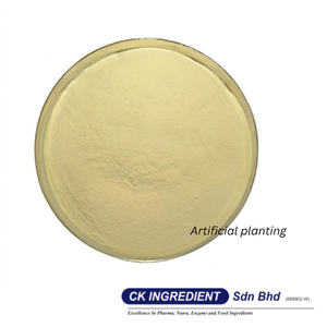 Aislado de Proteína de Soya Soluble de Primera Calidad, Halal, OEM, B2B, Mejor Proveedor Garantizado, Superventas, Nutrición Deportiva y Fitness - Product Image 6