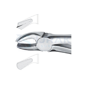 คีมถอนฟัน ฟันหน้าบน รากฟัน สแตนเลส เครื่องมือผ่าตัดแบบใช้มือ คลาส 1 - Product Image 2