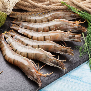 กุ้งลายเสือแช่แข็งคุณภาพส่งออก ผ่านกระบวนการแปรรูปอย่างพิถีพิถันเพื่อรักษาความสด รสชาติ เนื้อสัมผัส และคุณภาพของอาหารทะเล - Product Image 6