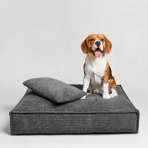 Gray Corded Dog Bed Plush <b>Pet</b> Sofa Bed with <b>Pillow</b> Breathable Raised Edge for Indoor Use - Product Image 1