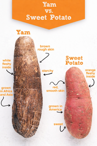 มันเทศขาวแช่แข็งพร้อมปรุง/คุณภาพสูง/เหมาะสำหรับผู้จัดจำหน่ายขายส่งและผู้ผลิตอาหารสำเร็จรูป/คุณอลีนา - Product Image 6