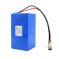 Baterai Lithium Ion 24V 36V 48V 52V 60V 72V 20Ah 25Ah 30Ah 40Ah 50Ah 60Ah 70Ah 80Ah 90Ah 100Ah untuk 250W 300W 1000W 2000W 3000W