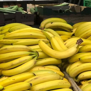Bananes Cavendish vertes fraîches de qualité supérieure pour les marchés de gros, les services de restauration commerciale et les acheteurs en gros - Product Image 3