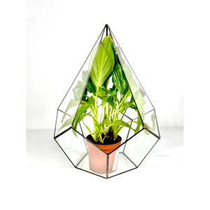 Top Class Quality Modern Glass Terrarium for Wedding Tabletop <b>Vase</b> and Living Room/Dining Room Decoration In Lowest Price - Product Image 2