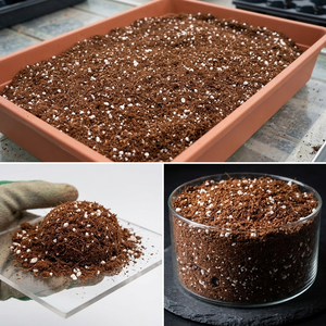 Cocopeat Perlite Mix Supplier for USA - Blend Bulk Supply Coco Peat Us Distributors India - Product Image 3