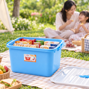 20L Household Kitchen & Pantry Storage Box Sealed Lid Side Latches Snack Utensil Organizer Crate Domestic Utility <b>Bin</b> - Product Image 1