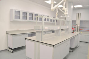 Mesa de Laboratorio de Acero Inoxidable Resistente a Químicos para Laboratorio de Física, Mesa de Laboratorio Comercial - Product Image 5