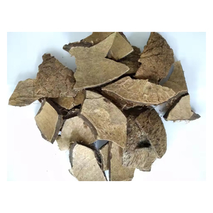 Cáscaras de coco trituradas a precios competitivos para importadores a granel y productores de carbón activado - Product Image 3