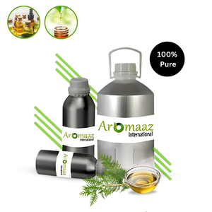 Aromaaz International, Aceite Esencial de Ciprés 100% Orgánico, Aceite de Ciprés Destilado al Vapor, Grado Cosmético, Revitalizador de Piel, Venta al Por Mayor - Product Image 1