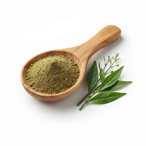 Polvo de Andrographis Paniculata Premium, Polvo de Kalmegh, Polvo de Hoja de Andrographis Paniculata Natural a Granel - Product Image 2