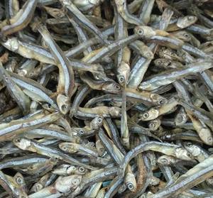 High Quality Dried Anchovies <b>Sprats</b> From Vietnam Agriculture Product Directly From Ms. Yaminnt - Product Image 6