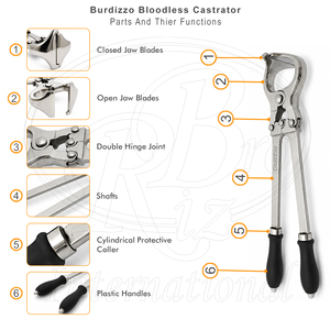 Rizbro International - Castrateur sans sang Burdizzo réutilisable et durable de 18 pouces, en acier inoxydable avec poignée en plastique, pour bétail vétérinaire - Product Image 5