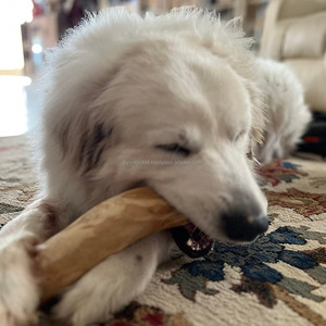 ของเล่นไม้สำหรับสุนัขเคี้ยวเล่นที่มีความทนทานรองรับเหงือกที่มีสุขภาพดีของเล่นแบบอินเทอร์แอคทีฟสำหรับการเล่นสนุกผลิตในเวียดนามราคาถูก - Product Image 2