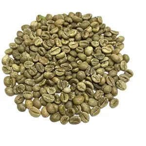 [Muestra gratis] Proveedor de fábrica de granos de café verde de grado premium de alta calidad al mejor precio 100% granos de café verde puro Natural