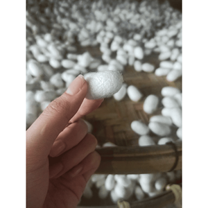 Cocons naturels de ver à soie pour fournitures artistiques, décoration intérieure et artisanat fait main, exportés du Vietnam - Product Image 4