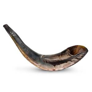 Shofar en corne de buffle naturelle, instrument de musique artisanal en corne de bélier, shofar juif traditionnel pour les cérémonies religieuses et les festivals - Product Image 2